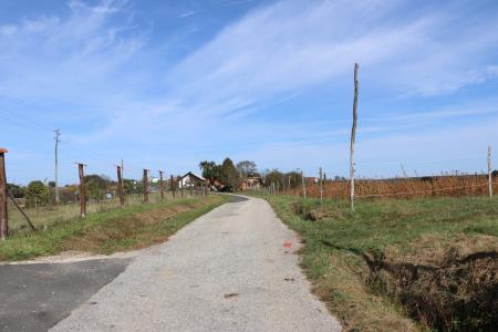 Modernizacija ceste do romskega naselja Mali Šalovci 2